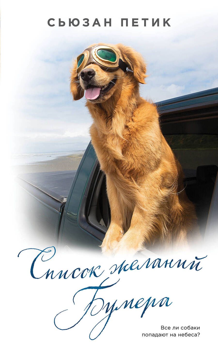 Обложка книги "Петик: Список желаний Бумера"