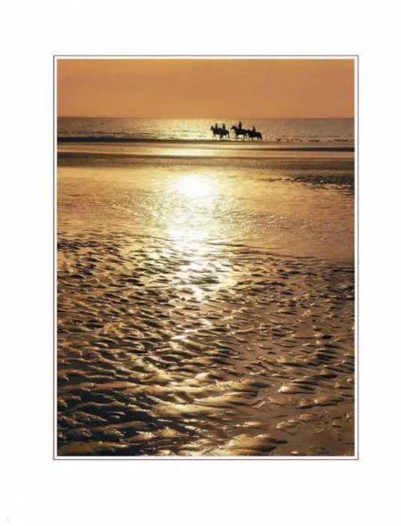 Фотография книги "Петр Фисун: Фотография. От простого к сложному"