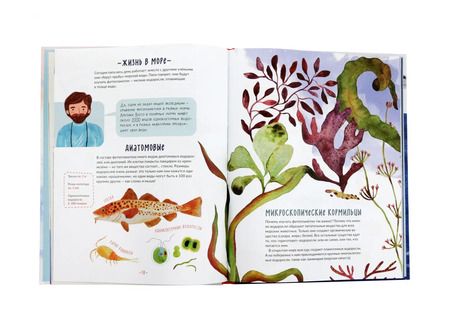 Фотография книги "Петр Волцит: Каникулы на ледоколе"