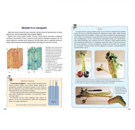 Фотография книги "Петр Волцит: Нескучная биология с задачами и решениями"