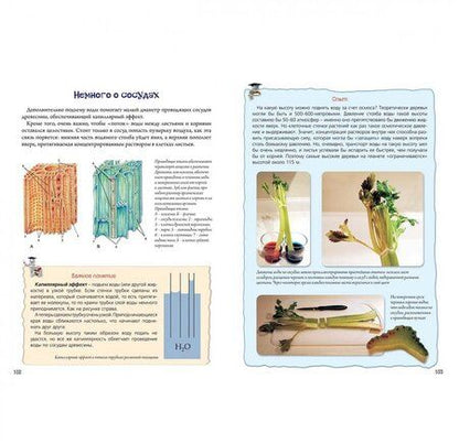 Фотография книги "Петр Волцит: Нескучная биология с задачами и решениями"