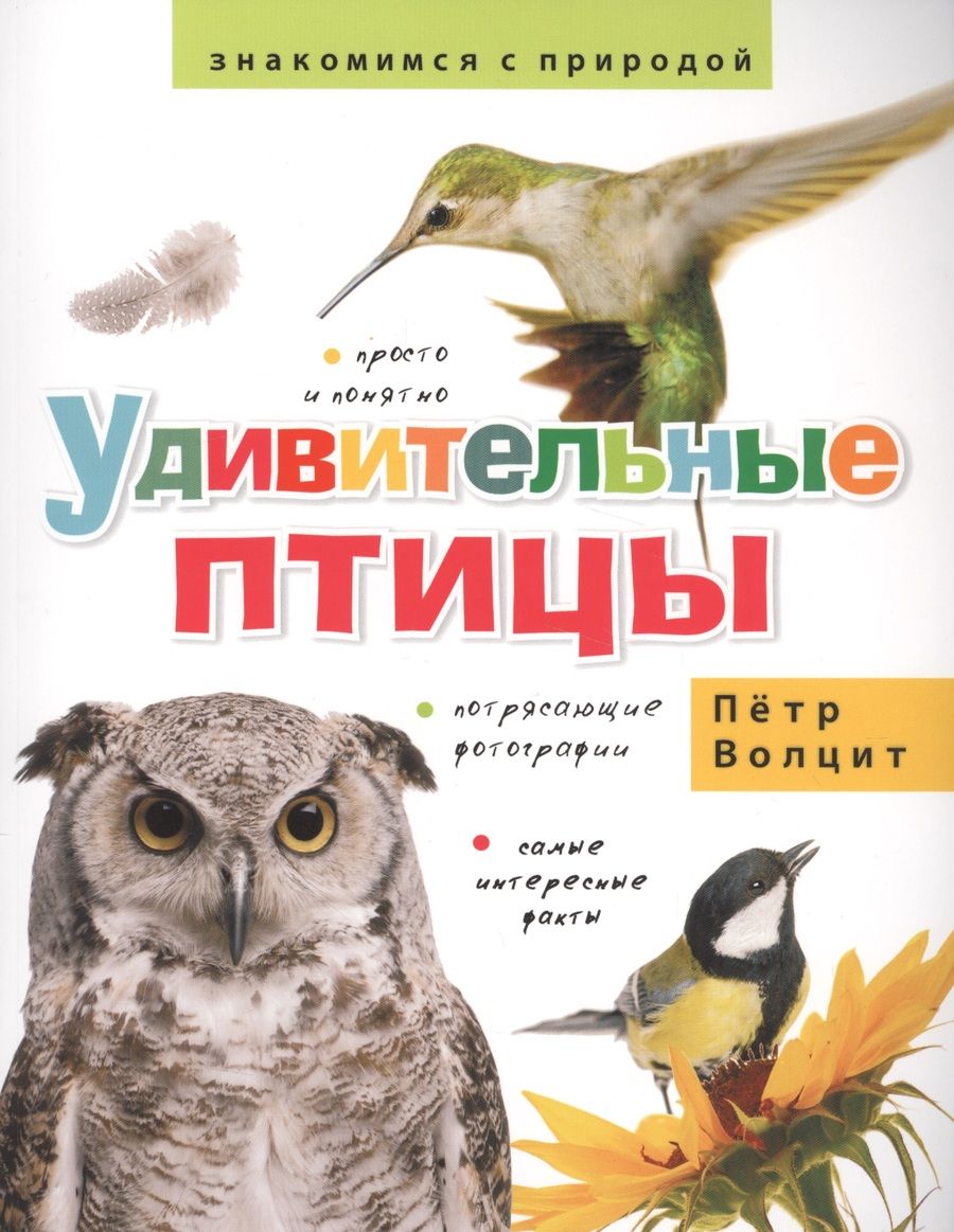 Обложка книги "Петр Волцит: Удивительные птицы"