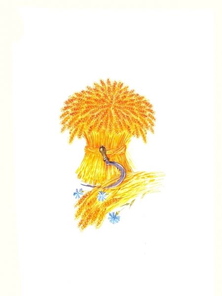 Фотография книги "Петр Ершов: Конек-Горбунок"