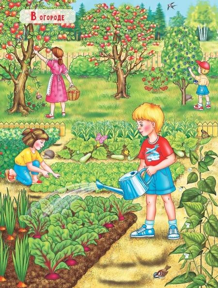 Фотография книги "Петрова Марта: В деревне (+наклейки)"