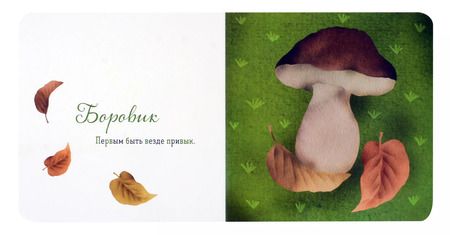 Фотография книги "Петрова, Елизарова: Где твой гриб?"