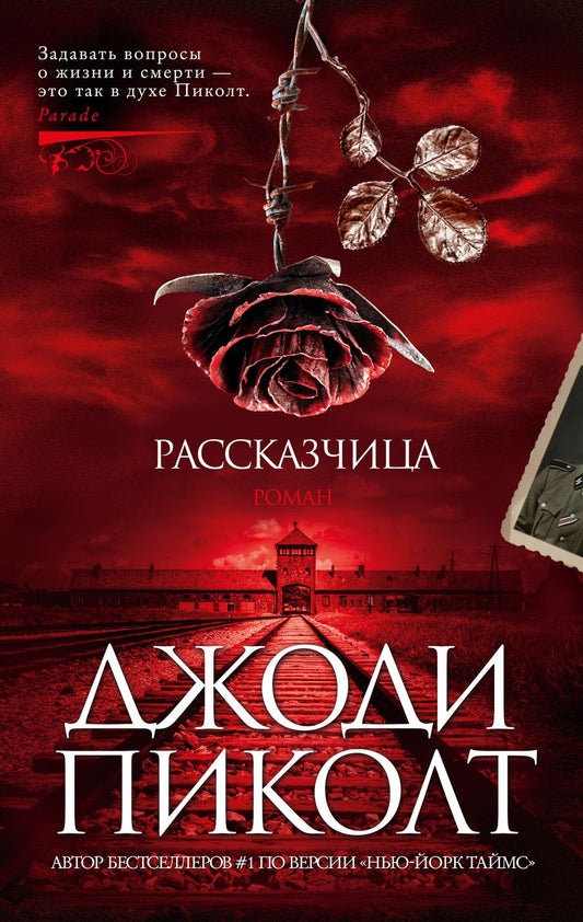 Обложка книги "Пиколт: Рассказчица"