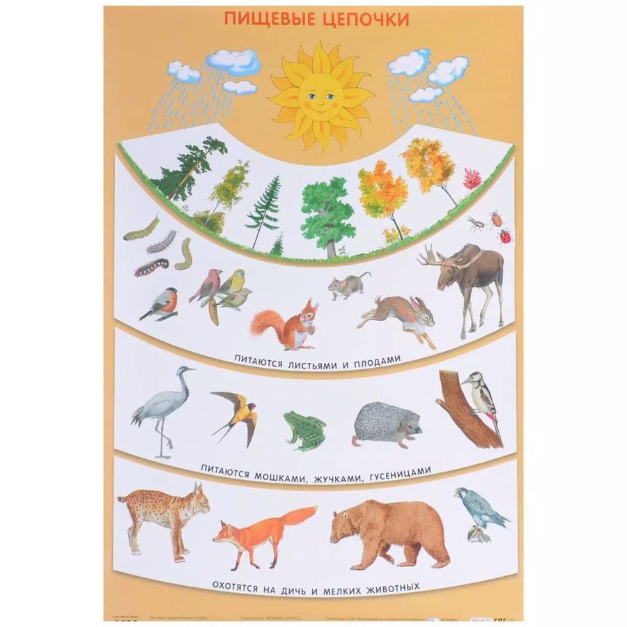 Обложка книги "Пищевые цепочки 50 x 69"