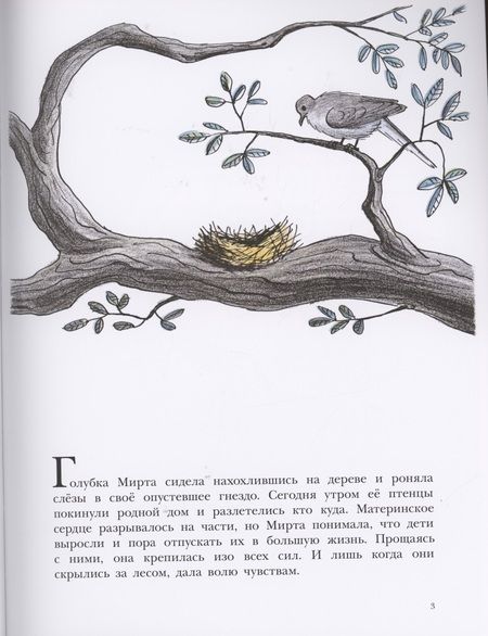 Фотография книги "Пит БиллНеобычное яйцо "