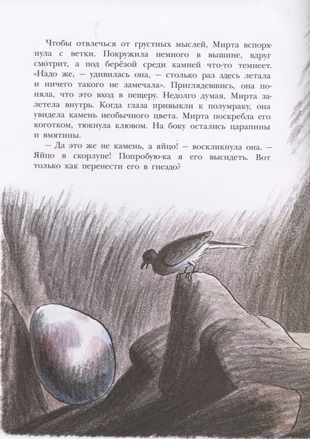 Фотография книги "Пит БиллНеобычное яйцо "