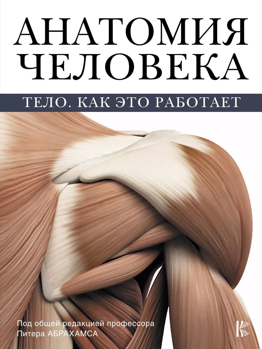 Обложка книги "Питер Абрахамс: Анатомия человека"