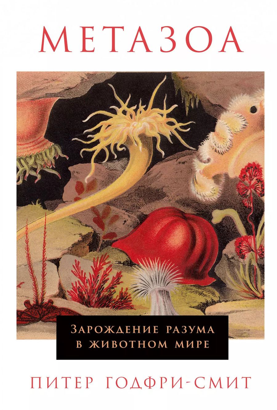 Обложка книги "Питер Годфри-Смит: Метазоа: Зарождение разума в животном мире"