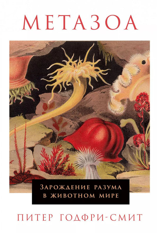 Обложка книги "Питер Годфри-Смит: Метазоа: Зарождение разума в животном мире"
