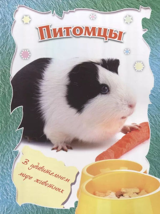 Обложка книги "Питомцы"