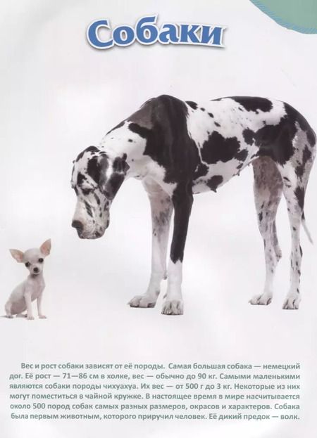 Фотография книги "Питомцы"