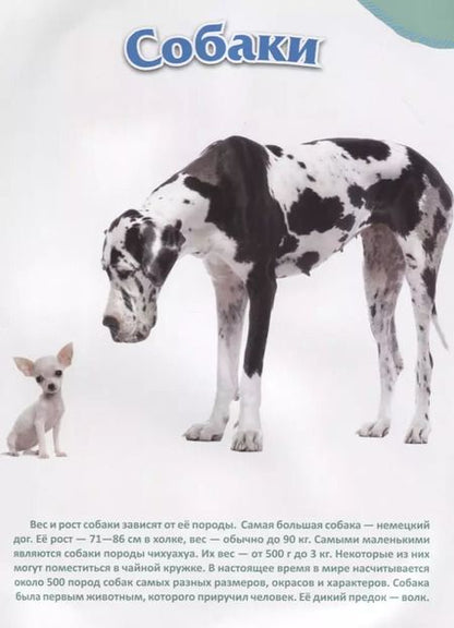 Фотография книги "Питомцы"