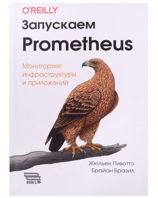 Обложка книги "Пивотто, Бразил: Запускаем Prometheus. Мониторинг инфраструктуры и приложений"
