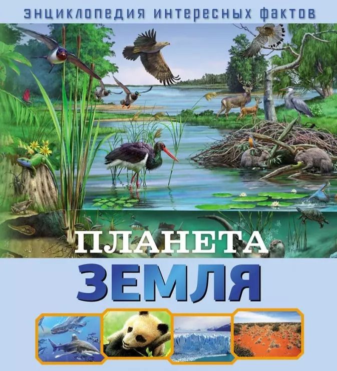 Обложка книги "Планета Земля"