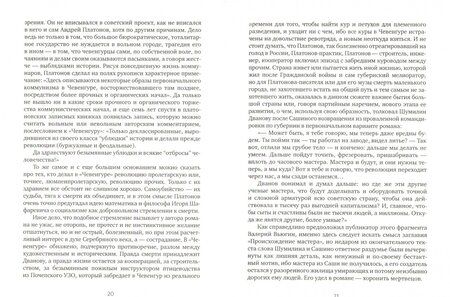 Фотография книги "Платонов: Чевенгур"