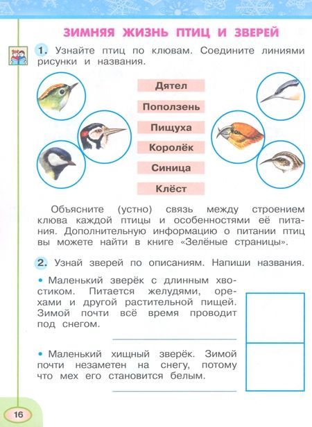 Фотография книги "Плешаков, Новицкая: Окружающий мир. 2 класс. Рабочая тетрадь. В 2-х частях. Часть 2. ФГОС"