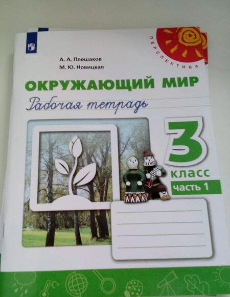 Фотография книги "Плешаков, Новицкая: Окружающий мир. 3 класс. Рабочая тетрадь. В 2-х частях. Часть 1. ФГОС"