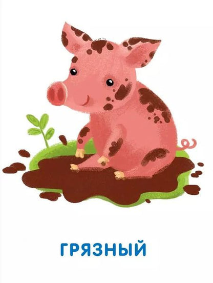 Фотография книги "Подбери картинки. Противоположности (36 карточек)"