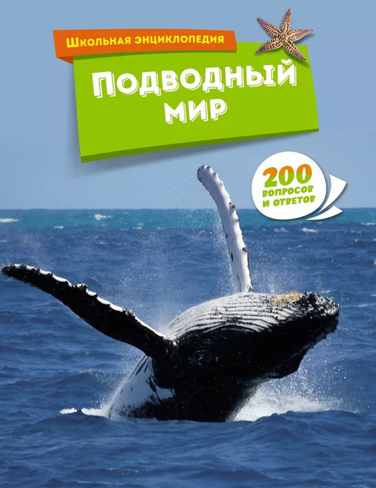 Обложка книги "Подводный мир"