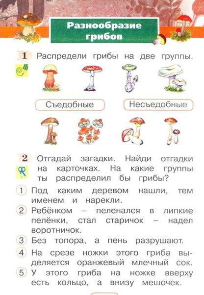 Фотография книги "Поглазова, Шилин: Окружающий мир. 1 класс. Рабочая тетрадь. В 2-х частях. Часть 2. ФГОС"