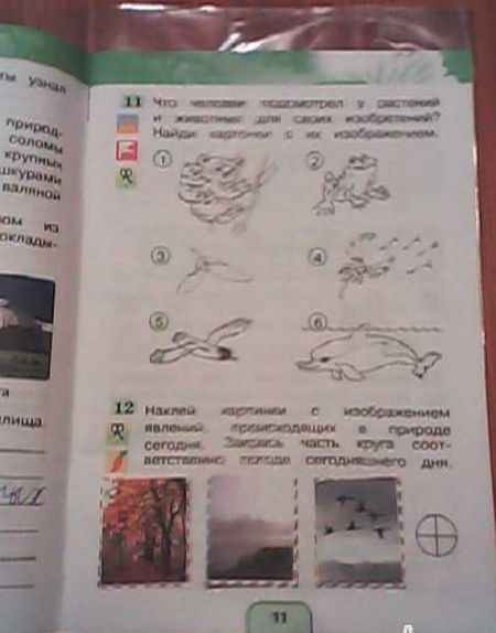 Фотография книги "Поглазова, Шилин: Окружающий мир. 2 класс. Рабочая тетрадь. Часть 1. ФГОС"