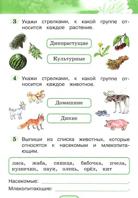 Фотография книги "Поглазова, Шилин: Окружающий мир. 2 класс. Тестовые задания для учащихся общеобразовательных организаций. ФГОС"