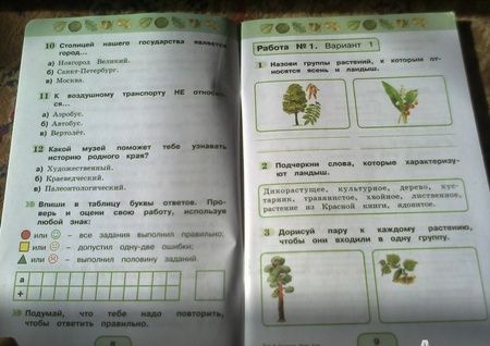 Фотография книги "Поглазова, Шилин: Окружающий мир. 3 класс. Тестовые задания. ФГОС"