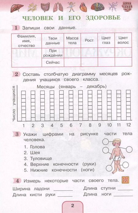 Фотография книги "Поглазова, Шилин: Окружающий мир. Рабочая тетрадь. 3 класс. В двух частях. Часть 2"
