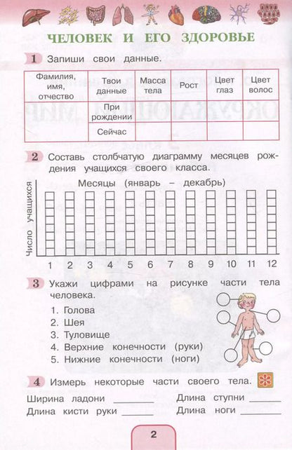 Фотография книги "Поглазова, Шилин: Окружающий мир. Рабочая тетрадь. 3 класс. В двух частях. Часть 2"