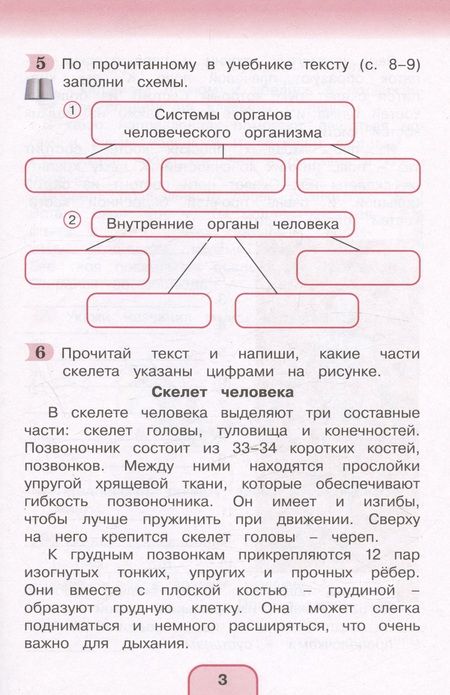 Фотография книги "Поглазова, Шилин: Окружающий мир. Рабочая тетрадь. 3 класс. В двух частях. Часть 2"