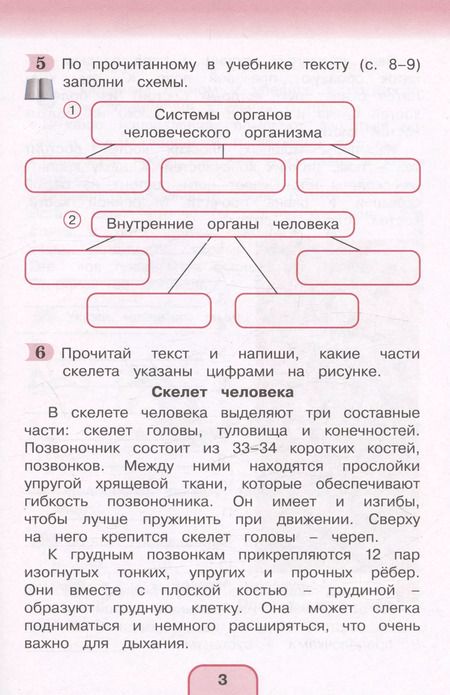 Фотография книги "Поглазова, Шилин: Окружающий мир. Рабочая тетрадь. 3 класс. В двух частях. Часть 2"