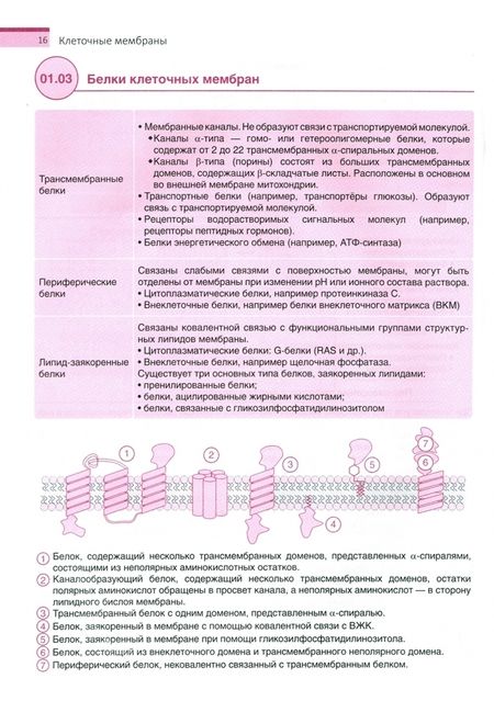 Фотография книги "Покровский, Алексеева, Жданов: Частная биохимия. Учебное пособие"