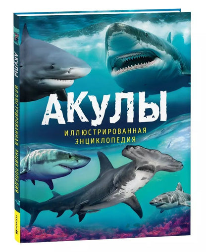 Обложка книги "Пол Мэйсон: Акулы. Иллюстрированная энциклопедия"