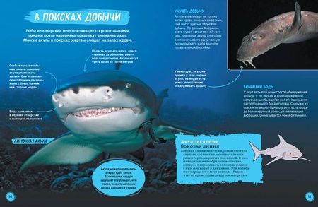 Фотография книги "Пол Мэйсон: Акулы. Иллюстрированная энциклопедия"