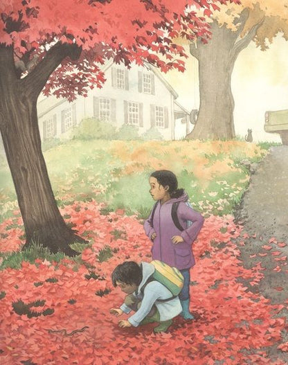 Фотография книги "Пол: Вода, вода...Книга о круговороте воды"