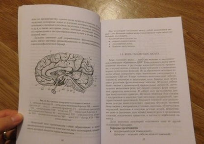 Фотография книги "Поливара: Нейролингвистические основы нарушений речи. Учебное пособие"