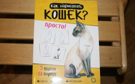 Фотография книги "Полли Пиндер: Как нарисовать кошек? Просто!"