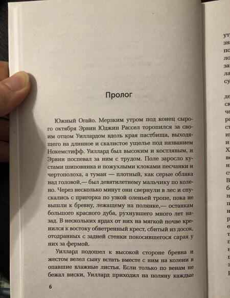 Фотография книги "Поллок: Дьявол всегда здесь"