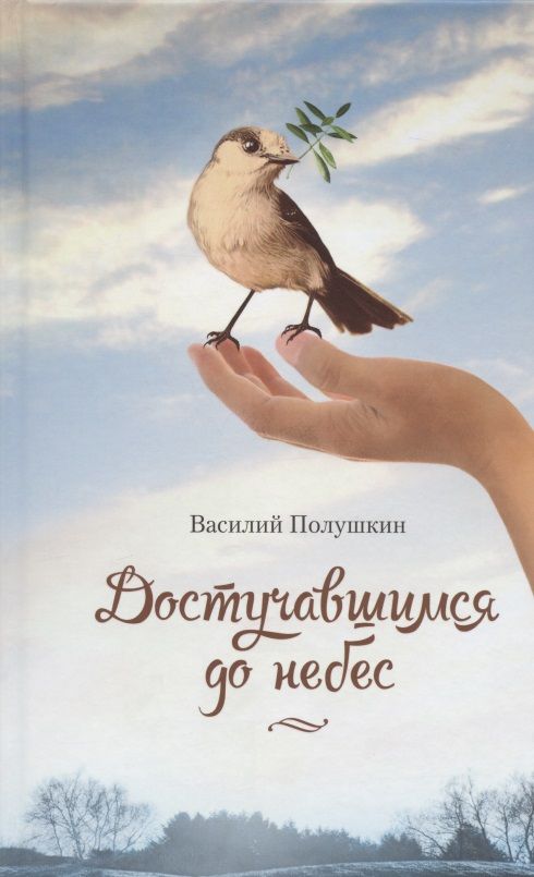 Обложка книги "Полушкин: Достучавшимся до небес"