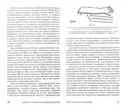 Фотография книги "Полянцев, Михайлова: Акушерство, гинекология и биотехника размножение животных. Учебник для СПО"