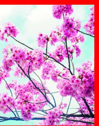 Фотография книги "Полярная: Японский массаж лица. Метод Асахи (Зоган)"