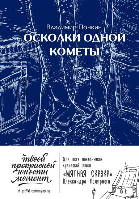 Фотография книги "Понкин: Осколки одной кометы"