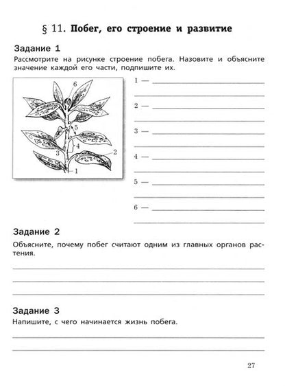 Фотография книги "Пономарева, Корнилова: Биология. 6 класс. Рабочая тетрадь. Базовый уровень. ФГОС"