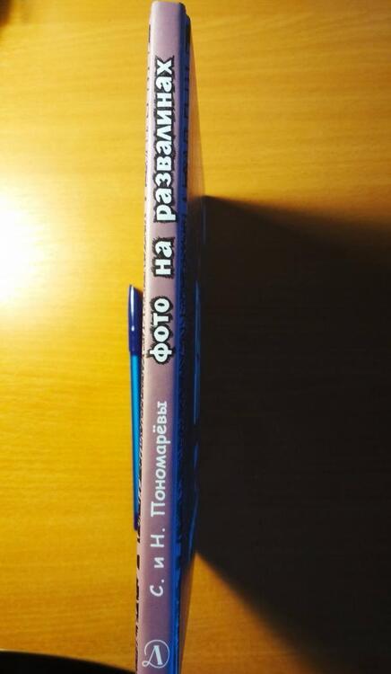 Фотография книги "Пономарева, Пономарев: Фото на развалинах"