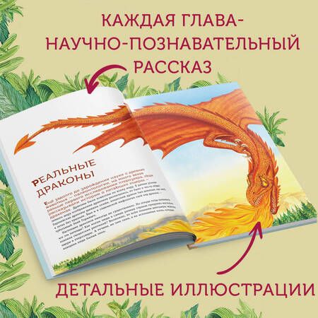 Фотография книги "Попов: Крылатые, но не динозавры"