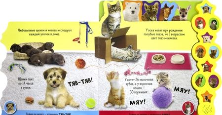 Фотография книги "Послушай и узнай! Кто рычит, пищит, мяукает"