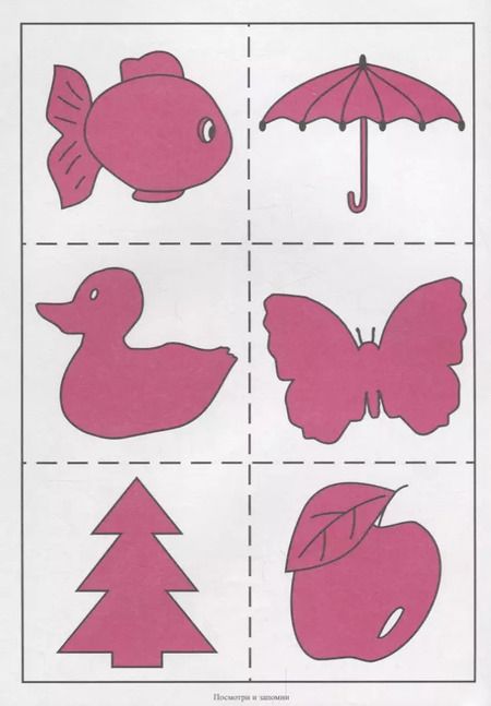 Фотография книги "Посмотри и запомни. Папка дошкольника. Материал для занятий на отдельных листах"